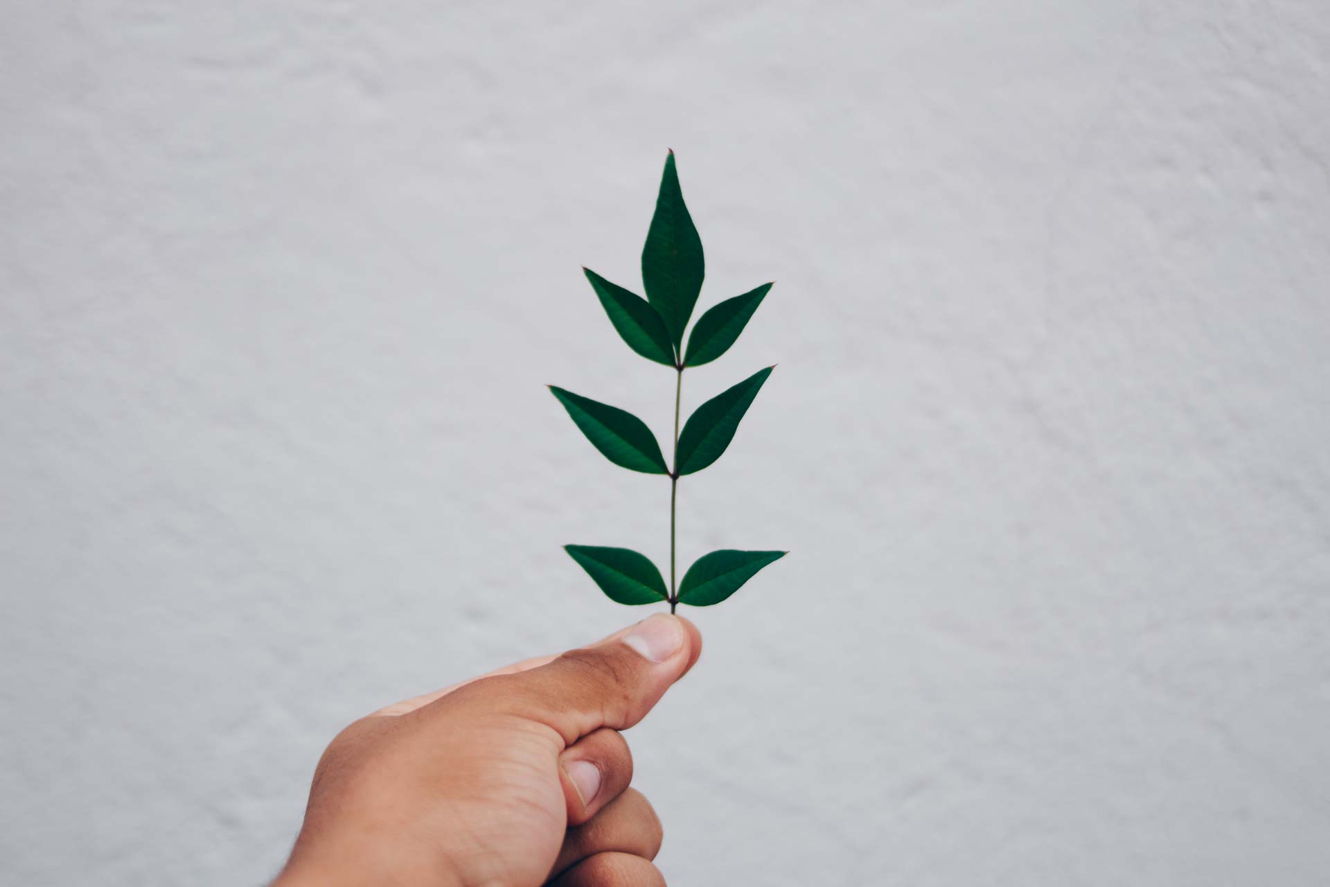 Produits écologiques Nim'Net